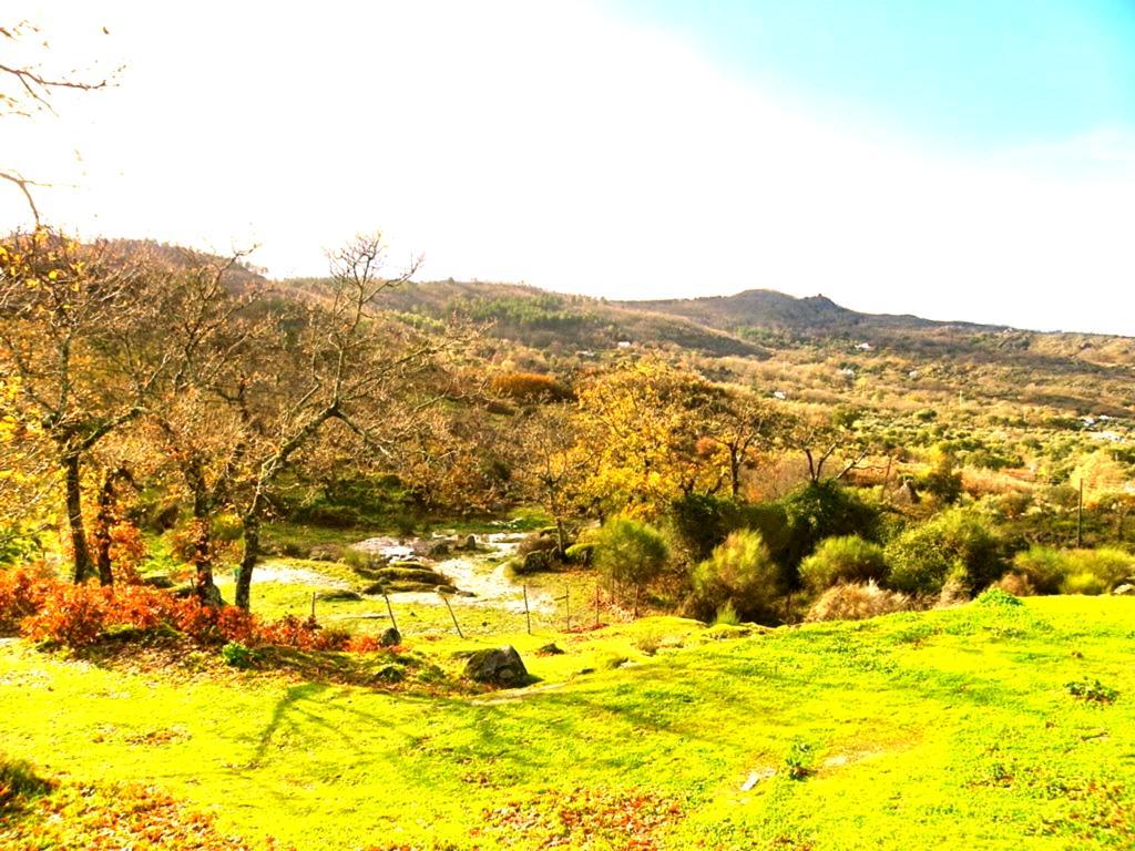 Quinta Do Marvao Affittacamere Camera foto