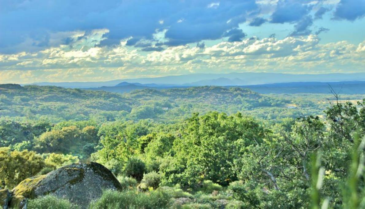 Quinta Do Marvao Affittacamere Esterno foto